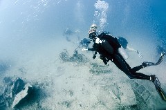    Mareste fotografia 

WeDive - Egipt 2021