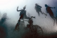    Mareste fotografia 

WeDive - Egipt 2021