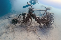    Mareste fotografia 

WeDive - Egipt 2021