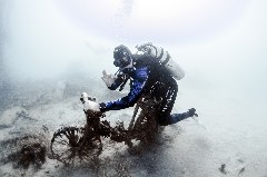    Mareste fotografia 

WeDive - Egipt 2021