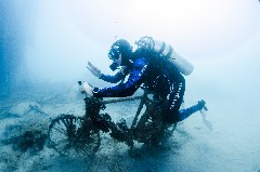    Mareste fotografia 

WeDive - Egipt 2021