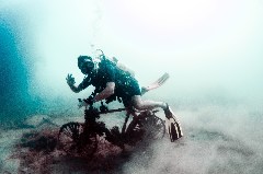    Mareste fotografia 

WeDive - Egipt 2021