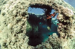    Mareste fotografia 

WeDive - Egipt 2021