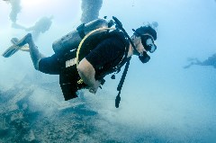    Mareste fotografia 

WeDive - Egipt 2021