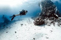    Mareste fotografia 

WeDive - Egipt 2021