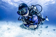    Mareste fotografia 

WeDive - Egipt 2021