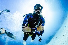    Mareste fotografia 

WeDive - Egipt 2021