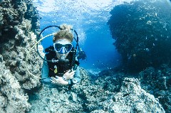    Mareste fotografia 

WeDive - Egipt 2021