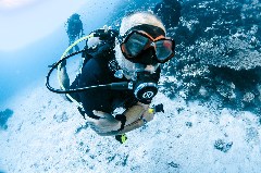    Mareste fotografia 

WeDive - Egipt 2021