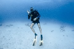    Mareste fotografia 

WeDive - Egipt 2021