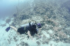    Mareste fotografia 

WeDive - Egipt 2021