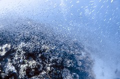    Mareste fotografia 

WeDive - Egipt 2021