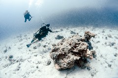    Mareste fotografia 

WeDive - Egipt 2021