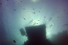    Mareste fotografia 

WeDive - Egypt 2014