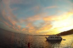    Mareste fotografia 

WeDive - Egypt 2014