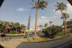    Mareste fotografia 

WeDive - Egypt 2014