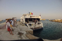    Mareste fotografia 

WeDive - Egypt 2014