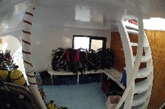    Mareste fotografia 

WeDive - Egypt 2014