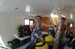    Mareste fotografia 

WeDive - Egypt 2014