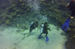    Mareste fotografia 

WeDive - Egypt 2014