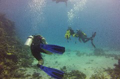    Mareste fotografia 

WeDive - Egypt 2014