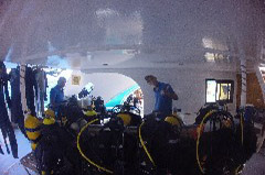    Mareste fotografia 

WeDive - Egypt 2014