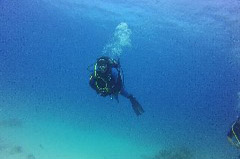    Mareste fotografia 

WeDive - Egypt 2014