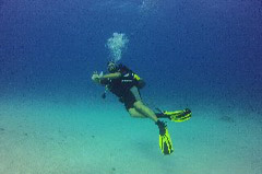    Mareste fotografia 

WeDive - Egypt 2014