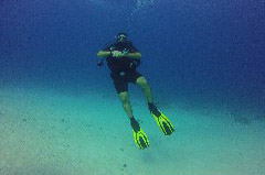    Mareste fotografia 

WeDive - Egypt 2014