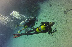    Mareste fotografia 

WeDive - Egypt 2014