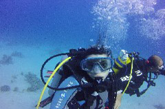    Mareste fotografia 

WeDive - Egypt 2014