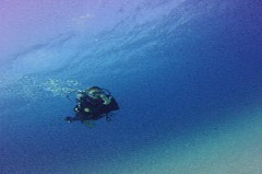    Mareste fotografia 

WeDive - Egypt 2014