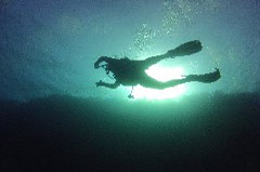    Mareste fotografia 

WeDive - Egypt 2014