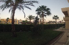    Mareste fotografia 

WeDive - Egypt 2014