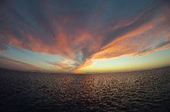    Mareste fotografia 

WeDive - Egypt 2014