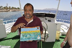    Mareste fotografia 

WeDive - Egypt 2014