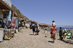    Mareste fotografia 

WeDive - Egypt 2014