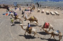    Mareste fotografia 

WeDive - Egypt 2014