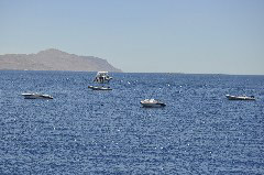    Mareste fotografia 

WeDive - Egypt 2014