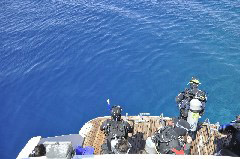    Mareste fotografia 

WeDive - Egypt 2014