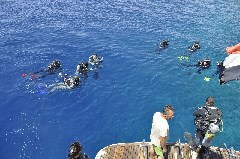    Mareste fotografia 

WeDive - Egypt 2014