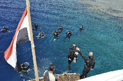    Mareste fotografia 

WeDive - Egypt 2014