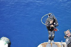    Mareste fotografia 

WeDive - Egypt 2014