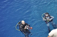    Mareste fotografia 

WeDive - Egypt 2014