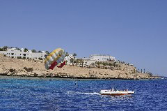    Mareste fotografia 

WeDive - Egypt 2014