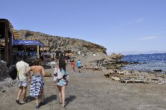    Mareste fotografia 

WeDive - Egypt 2014