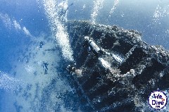    Mareste fotografia 

WeDive - FamousFive