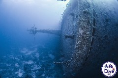    Mareste fotografia 

WeDive - FamousFive