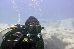    Mareste fotografia 

WeDive - Grecia 2016