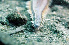    Mareste fotografia 

WeDive - Grecia 2016